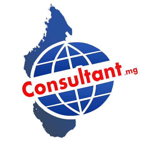 Elearning consultant.mg
